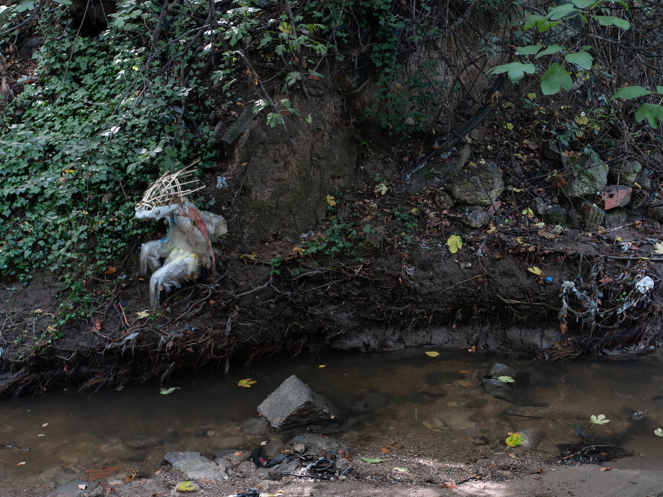 bord d'un cours d'eau pollué avec des détritus